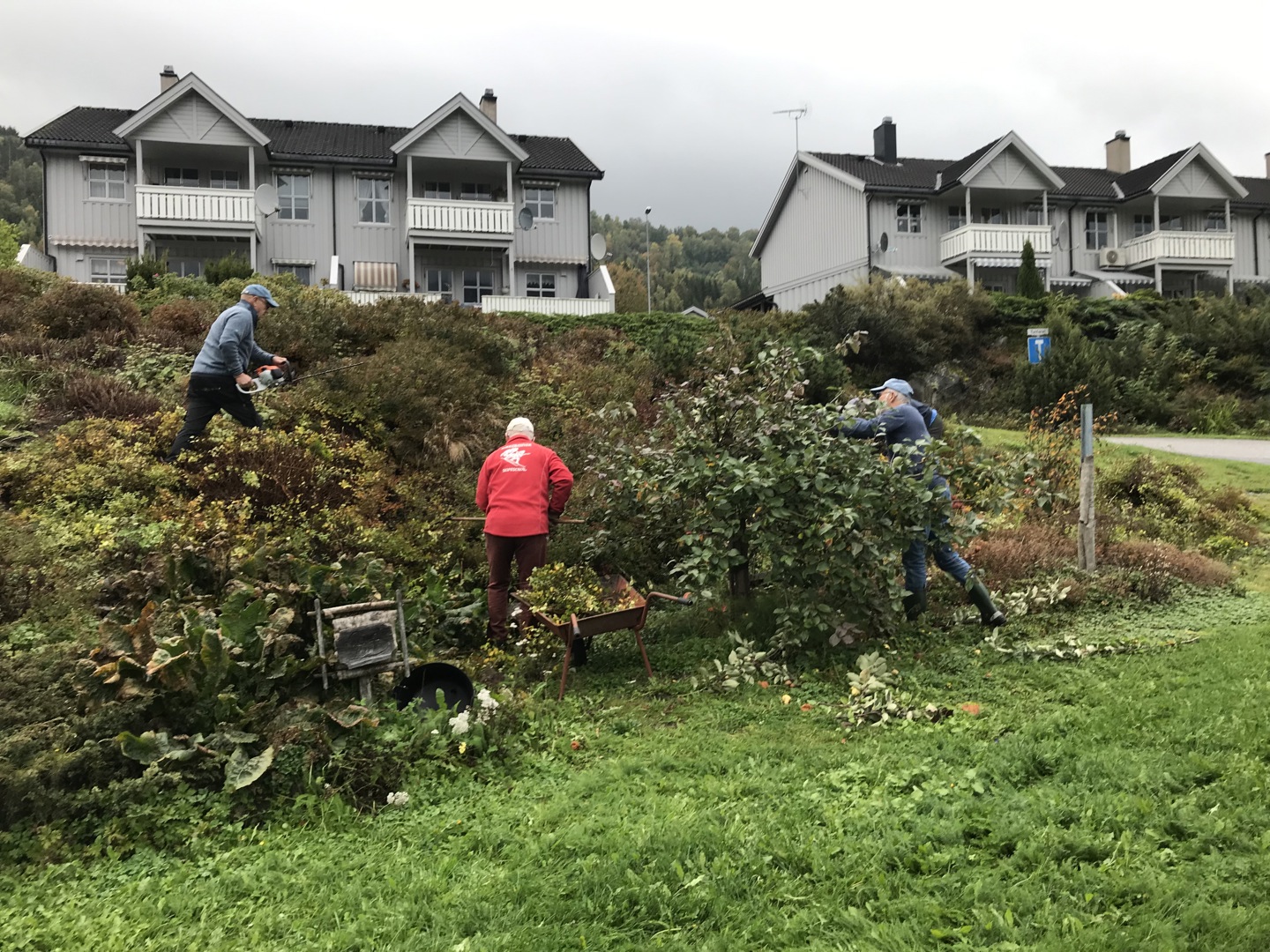 Dugnad i Livets Park