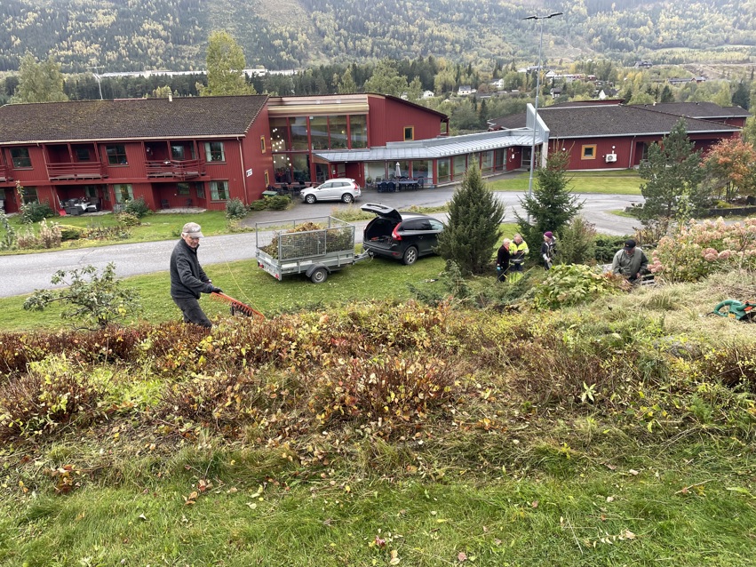 Dugnad i Livets Park